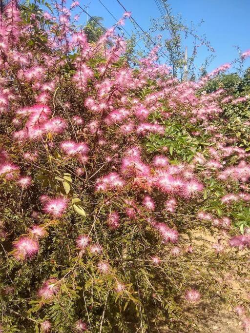 Chale Aconchegante Em Estancia Climatica Santo Antônio do Leite Екстериор снимка