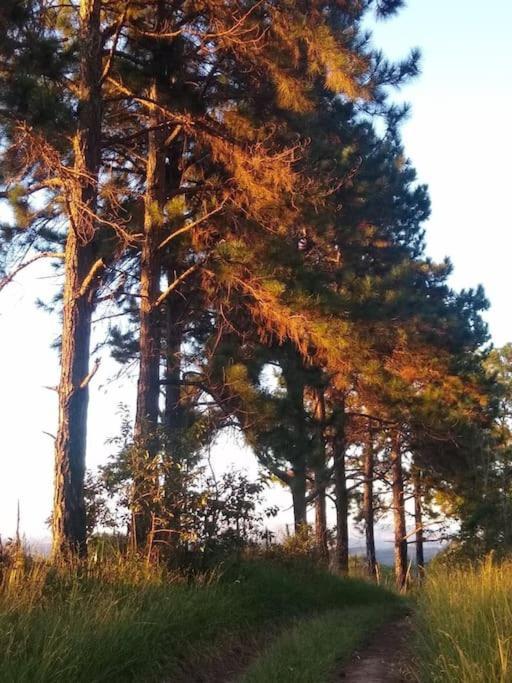Chale Aconchegante Em Estancia Climatica Santo Antônio do Leite Екстериор снимка
