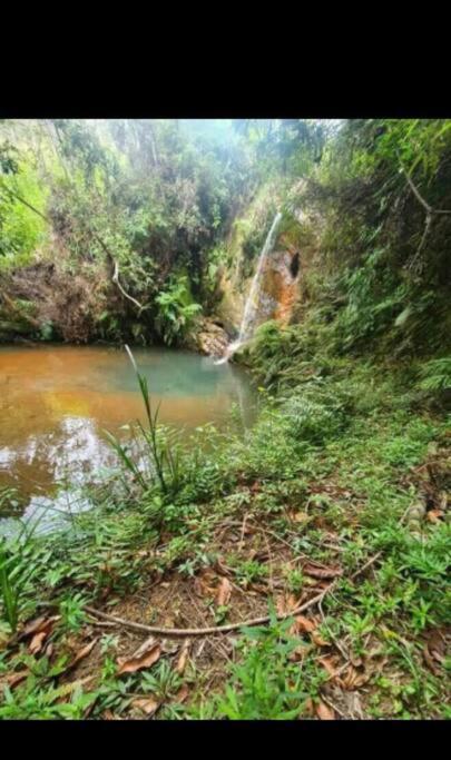 Chale Aconchegante Em Estancia Climatica Santo Antônio do Leite Екстериор снимка